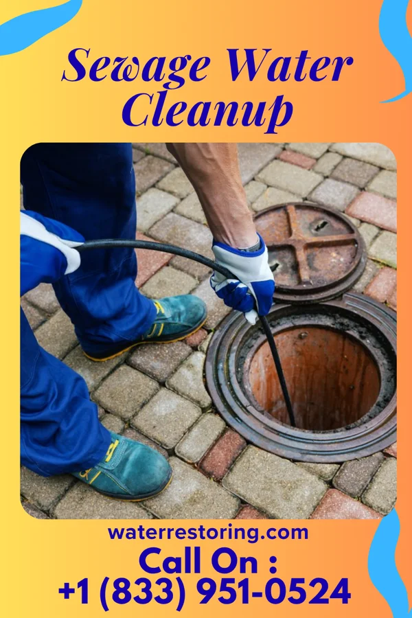 Sewage Water Cleanup in Aubrey, AR